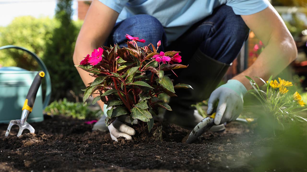 Image for Landscaping Tips & Tricks for a Beautiful and Functional Outdoor Space article